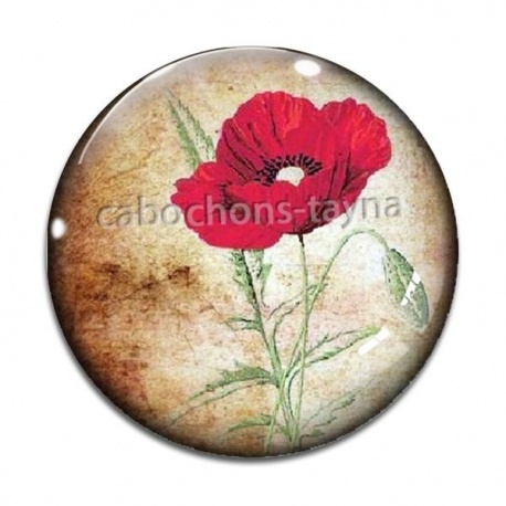 Cabochon Verre - coquelicot