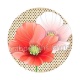 coquelicot