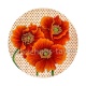 coquelicot