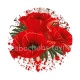 coquelicot