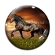 Cabochon Verre - cheval