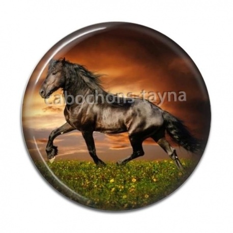 Cabochon Résine - cheval