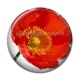 Cabochon Résine - coquelicot