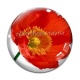 Cabochon Verre - coquelicot