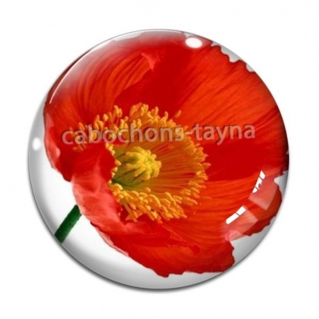 Cabochon Verre - coquelicot