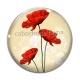 Cabochon Verre - coquelicot