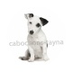chien