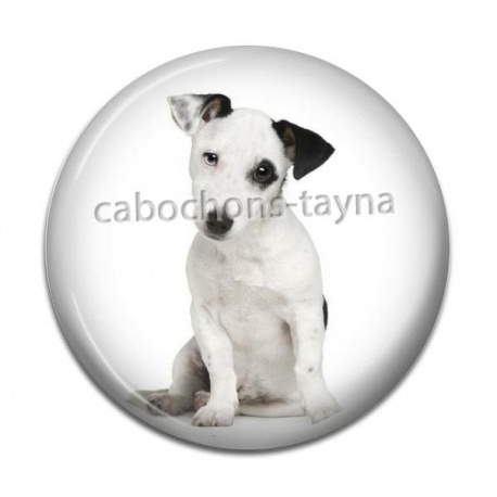 Cabochon Résine - chien