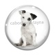Cabochon Verre - chien