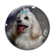Cabochon Verre - chien