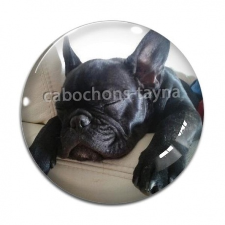 Cabochon Verre - chien