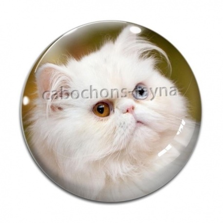 Cabochon Verre - chat