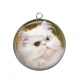 Pendentif Cabochon Argent - chat