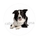 chien