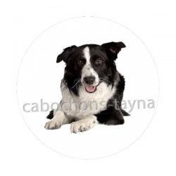 chien