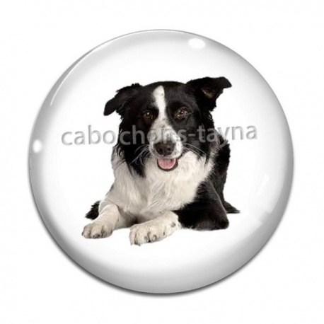 Cabochon Verre - chien
