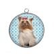 Pendentif Cabochon Argent - chien
