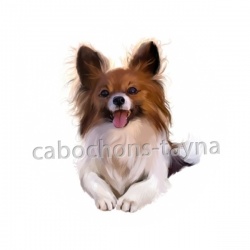 chien