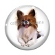 Cabochon Verre - chien