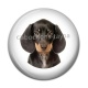 Cabochon Résine - chien