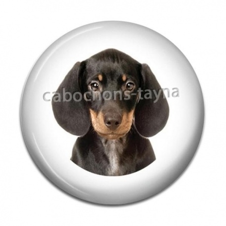 Cabochon Résine - chien