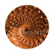 spirale
