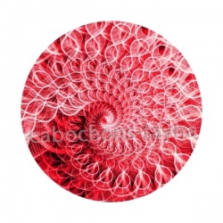 spirale
