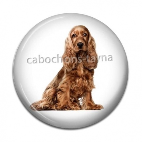 Cabochon Résine - chien
