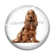 Cabochon Verre - chien