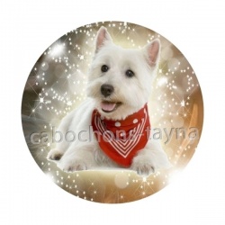 chien