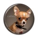 Cabochon Résine - chien