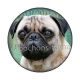 chien