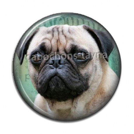 Cabochon Résine - chien