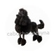 chien
