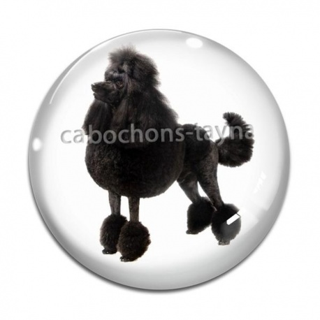 Cabochon Verre - chien
