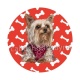 chien