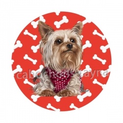 chien