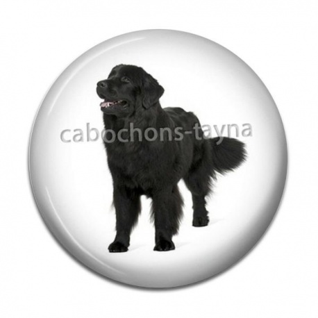 Cabochon Résine - chien