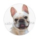 chien