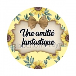 une amitié fantastique