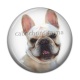Cabochon Résine - chien