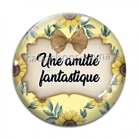 Cabochon Verre - une amitié fantastique