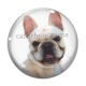 Cabochon Verre - chien