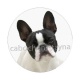 chien