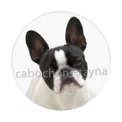chien
