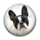 Cabochon Résine - chien