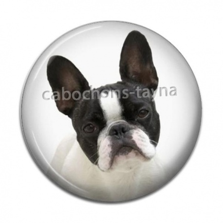 Cabochon Résine - chien