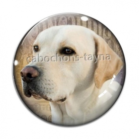 Cabochon Verre - chien