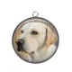 Pendentif Cabochon Argent - chien