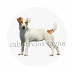 chien